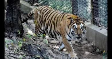 Dehradun Zoo