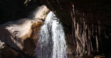 Rishikesh Manikoot Yatra: आलोकित यात्रा जहां 12 द्वारों की होती है पूजा