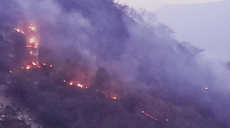 Rishikesh News today