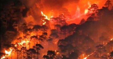 Uttarakhand Forest Fire