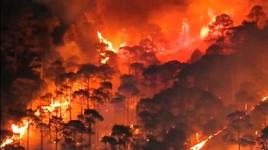 Uttarakhand Forest Fire