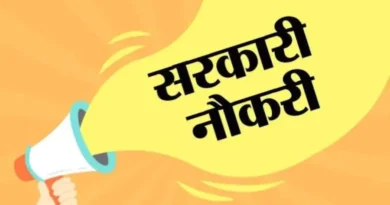 Government Job