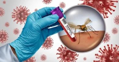 Uttarakhand Dengue Cases