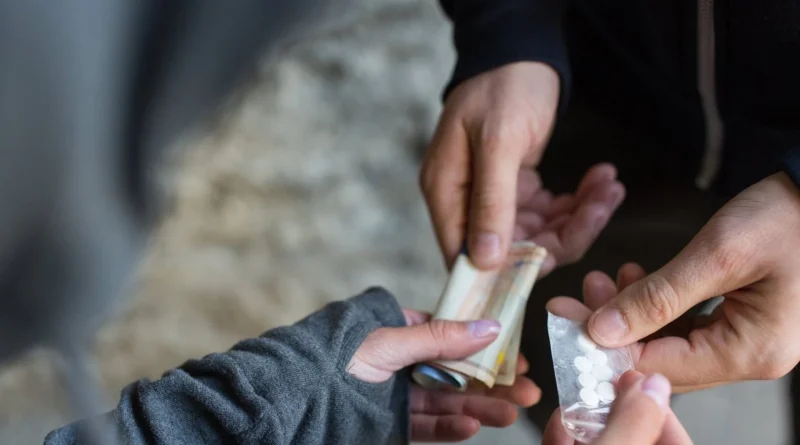 Haridwar Latest News