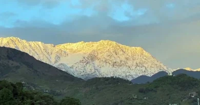 Munsyari Snowfall
