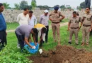 Haridwar News
